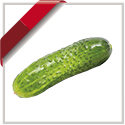 CUCUMBER